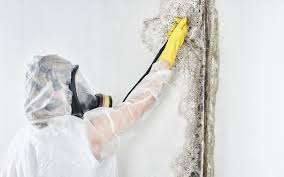 Best HVAC Mold Inspection and Cleaning in Ohioville, PA